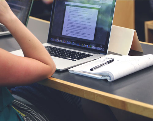 Studying on laptop
